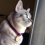 在外当0发现男友当南梁