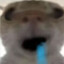 die
