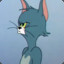 猫子Tom