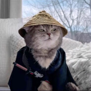 卷毛不配装深情