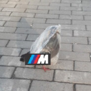 голубь в М пакете