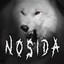 Nosida