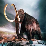 Mammoth