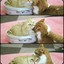meow^-^