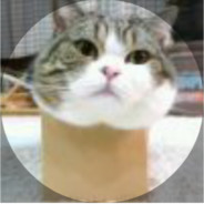 圣光会制裁你！