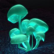Ventania