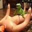 Kermit Suicide