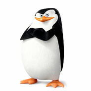 Skipper