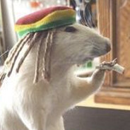 гаражный ебака