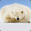 SleepingPolarBear