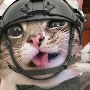 OwO
