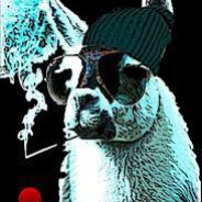 AlpacaGaming69