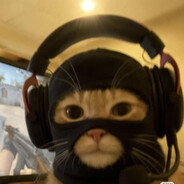 糕冷小帅不高冷