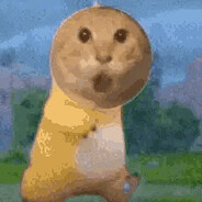 哈亚库那路哈基米