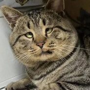 独钓万古李天帝