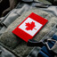 Canadian SmokyGid