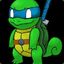 NinjaTurtle