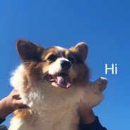 失去爱情的摩托车手