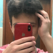 ドネックスにはディッ