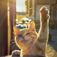 ℳ𝒾𝓇𝒶𝒸𝓁ℯ.