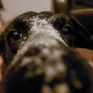 Drone operator - steam id 76561198318835045