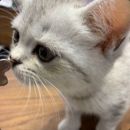 一人我吃汉堡丶