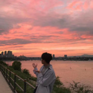 我的情书埋在四季