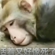 提升自己不如压力队友