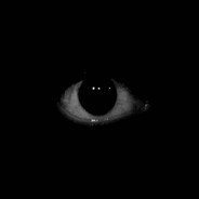 Zalım Steam avatar