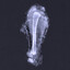 Boned