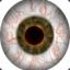 Nickel Eye