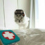scout_louis22