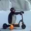 Pingu