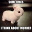 Funny Bunny