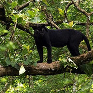 󠀡󠀡󠀡󠀡󠀡󠀡