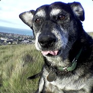 Barguest - steam id 76561197971053084