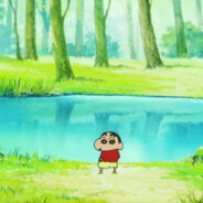 我真的不是猪包