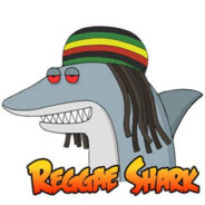 REGGAE SHARK