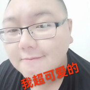 我摆烂了你们努力