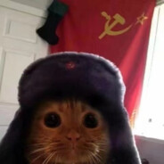 极阴岛股份有限公司