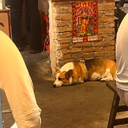 沙城第一狙击手鹰眼