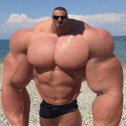 Опорник писи