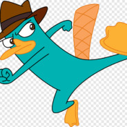 malditamente perri ornitorrinco