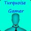 Turquoise Gamer