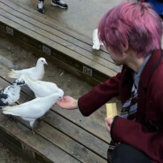 不吃香菜（黑泽版）