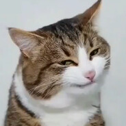 魔法披风