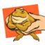 ToadBro