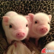 choice for all.酱油