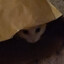 smoosh