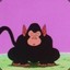 junky monkey